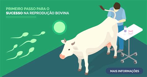 Curso De Insemina O Artificial E Estrat Gias De Iatf Em Bovinos