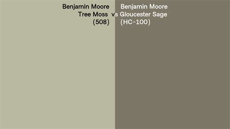 Benjamin Moore Tree Moss Vs Gloucester Sage Side By Side Comparison