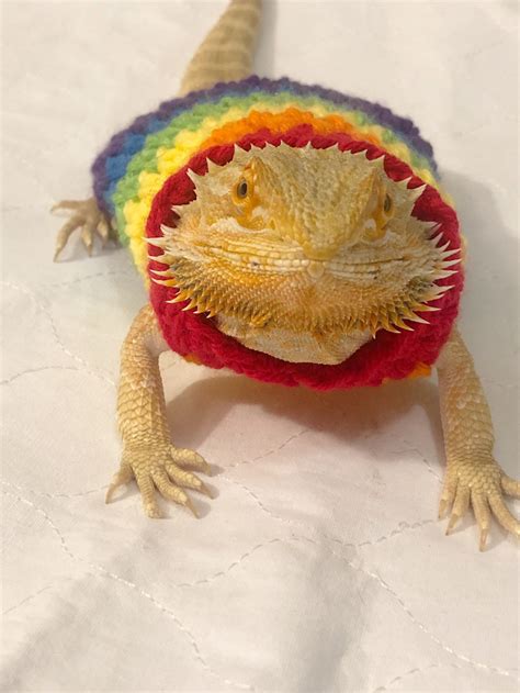 Crocheted Adult Rainbow Bearded Dragon Sweater Bearded Etsy