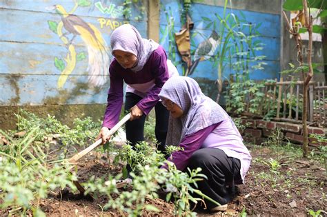 KWT Srikandi Nusa Jaya Kota Tangerang Berhasil Manfaatkan Lahan Tidur