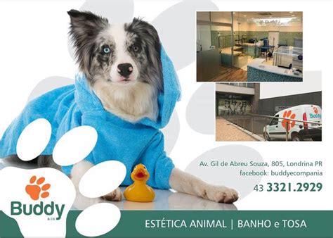 Banho E Tosa Londrina - Buddy Banho e Tosa | Londrina PR