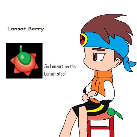 Lan sat on the Lansat (berry from pokemon) : BattleNetwork