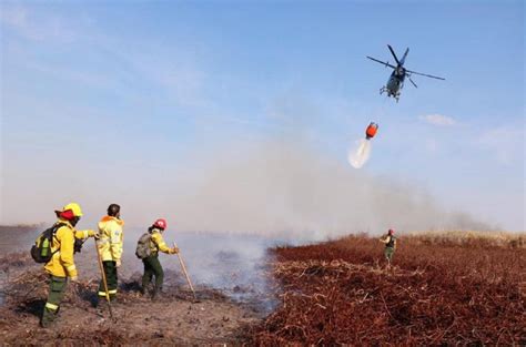 La Corte Admite Amparo Por Las Quemas En El Delta Análisis