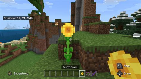 Minecraft Xbox 360 Flower Biome Seed Best Flower Site