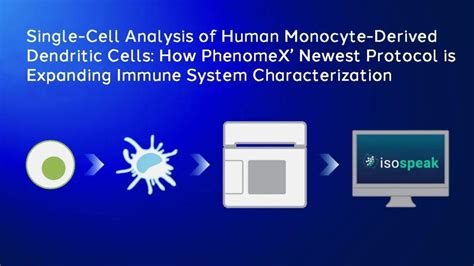 人单核细胞来源树突状细胞的单细胞分析：phenomex最新解决方案助力扩展免疫系统表征 知乎