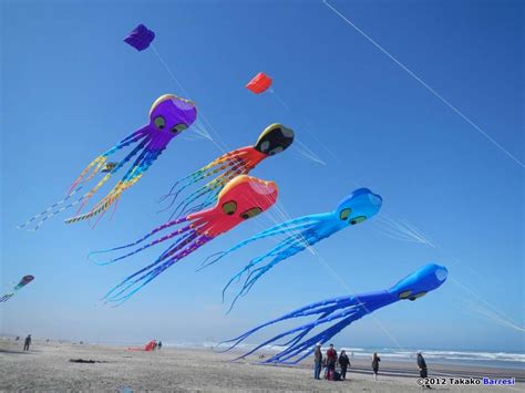 Images Of A Kite Japaneseclass Jp