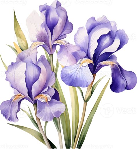 Irises Flowers Watercolor Ai Generate 25860398 Png