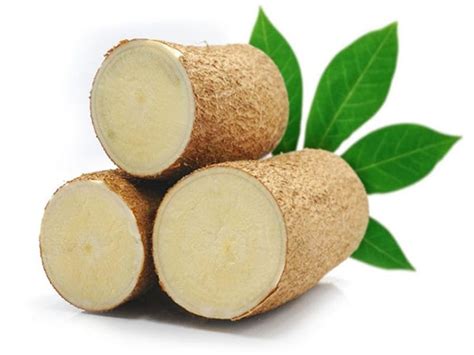 What Is Cassava And What Is The Useindustry News