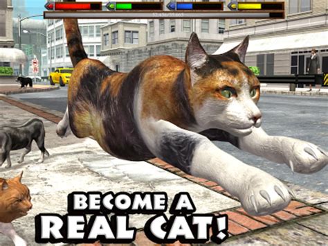Ultimate Cat Simulator Para Android Download
