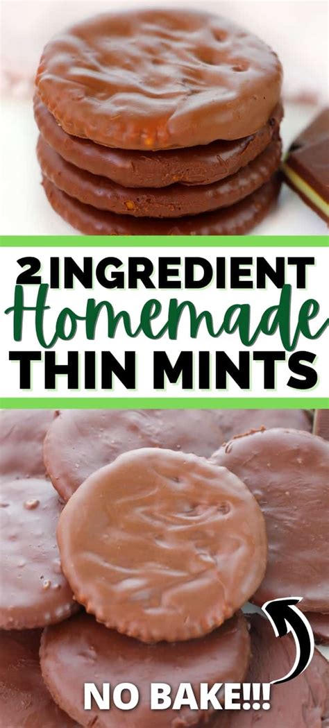 2-Ingredient Ritz Cracker Thin Mints (Easy No Bake Recipe!)