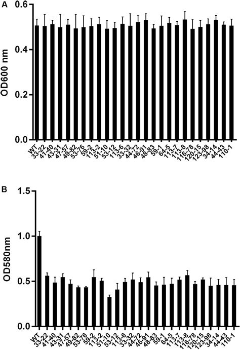 Frontiers Himar1 Transposon For Efficient Random Mutagenesis In