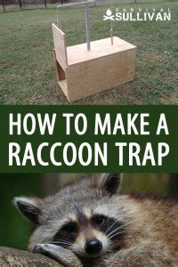 Easy DIY Raccoon Trap Step By Step