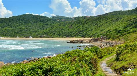 Guia da Praia do Rosa Tudo o que você precisa saber antes de ir