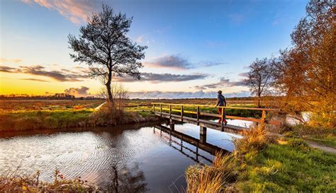 Découvrez les magnifiques parcs nationaux des Pays-Bas - Holland.com