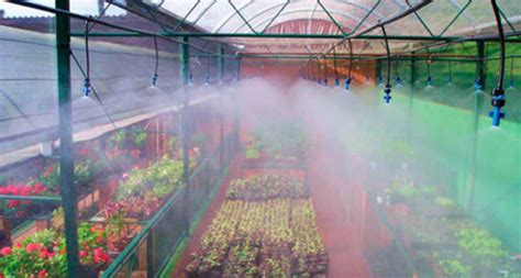 Tipos De Sistema De Irriga O Para Estufas Cultivo Protegido Agroclique