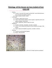 Biology Lab Practical Study Guide Pdf Histology All The