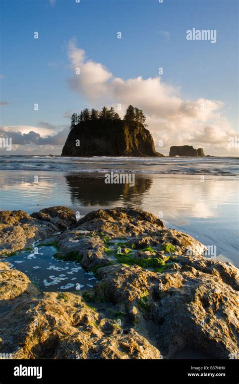 Sunset At Second Beach Olympic National Park Washington Stock Photo Alamy