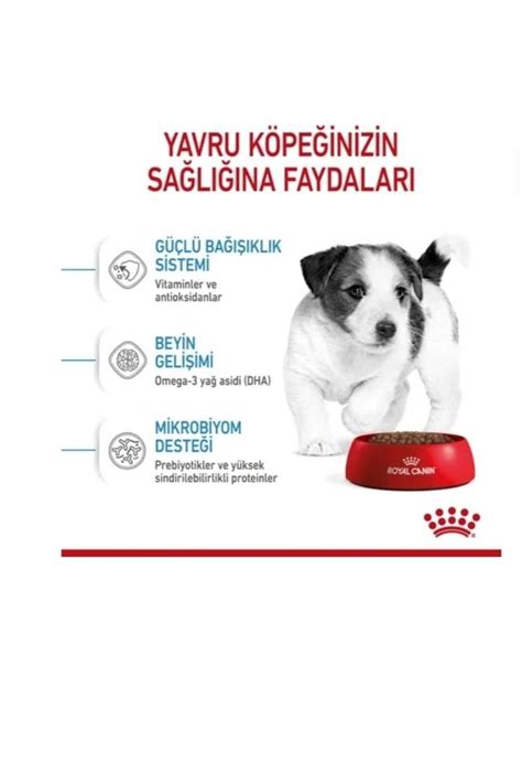 Royal Canin Mini Pupy Mini Yavru Irk Köpek Maması 4 Kg Fiyatı