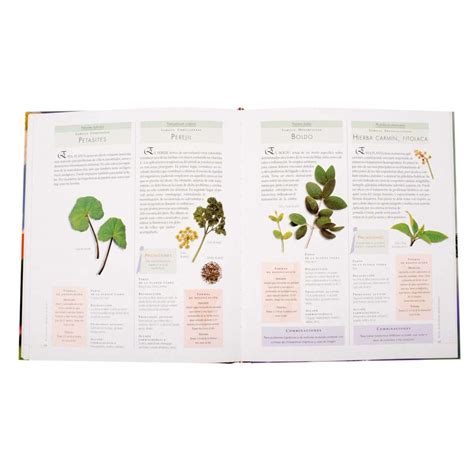 Atlas Ilustrado De Las Plantas Medicinales Lexus Editores Argentina