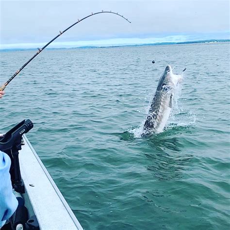 Astoria Oregon Sturgeon Fishing Guide OR WA Fishing Guide Marvin