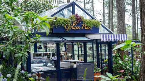 Golden Pine Orchid Forest Cikole Banyak Ditiru dan Jadi Inspirasi Cafe ...