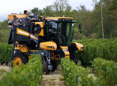 Quoi de neuf pour les vendanges 2019 nouvelles machines à vendanger