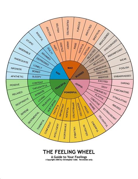 GoToCris: :: THE FEELING WHEEL