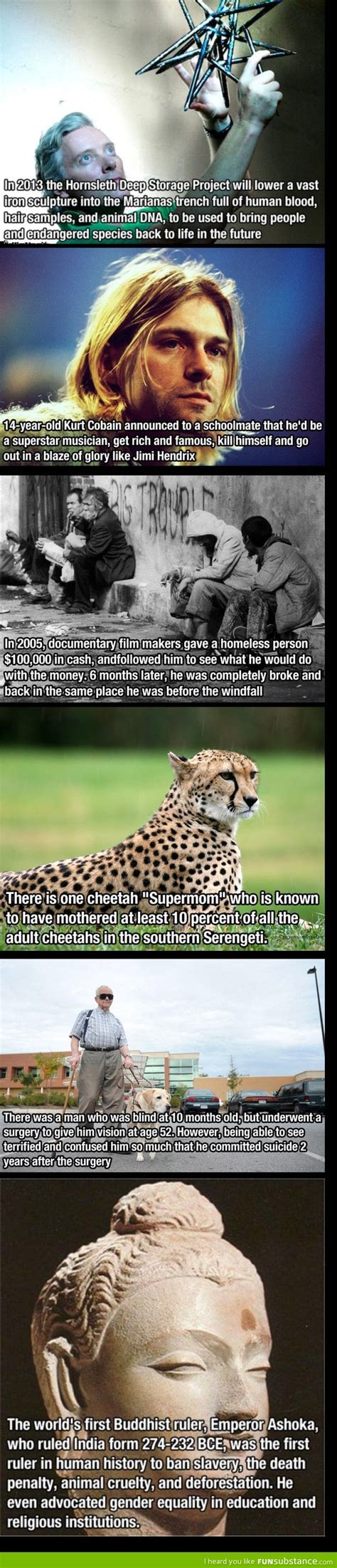 interesting facts funsubstance