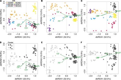 Frontiers Seascape Genomics Reveals Metapopulation Connectivity