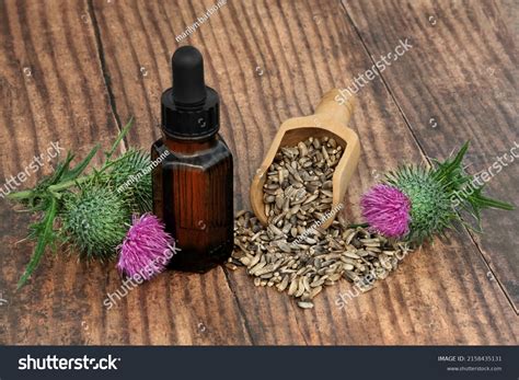 172 Jaundice cure Images, Stock Photos & Vectors | Shutterstock