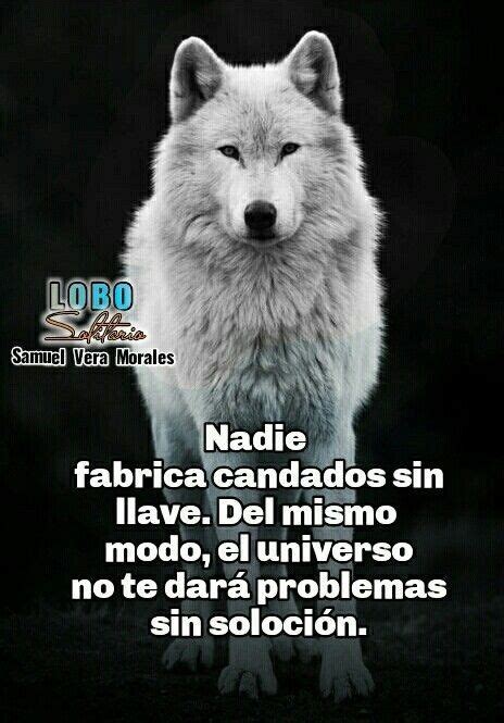 Frases De Lobos