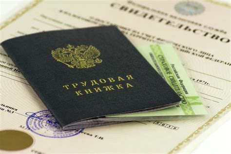 Электронная трудовая книжка: где можно посмотреть и как получить выписку