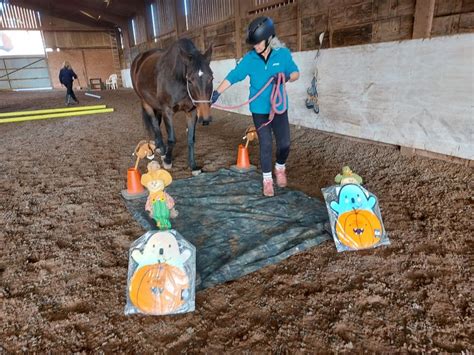 Indoor Easter Themed Fun Hhot With Patsy Pyke Berriewood Equestrian