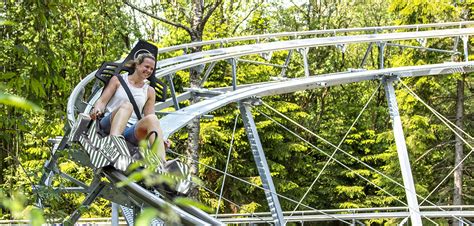 Alpine Coaster