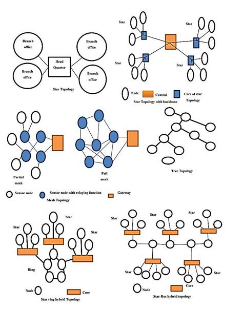 Network Distribution For Each Topologies Download Scientific Diagram