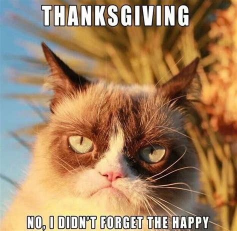 25 Super funny Thanksgiving memes that will make you smile