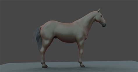 The Most Advanced Rigged Horse For Blender 42 Its Here Blender Market