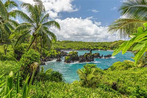 Black Sand Beach Maui: all you need to know about Honokalani - Love and ...