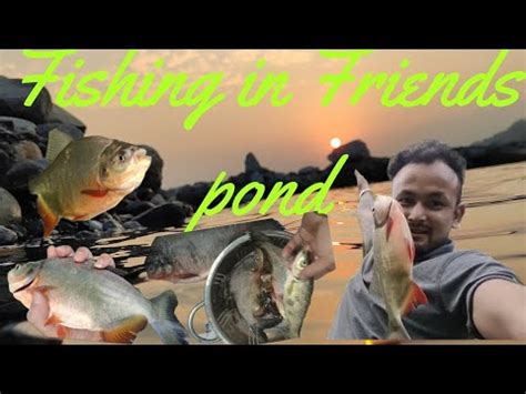 Fishing Karne Giya Machli Mara Bamboo And Banchi Seh YouTube