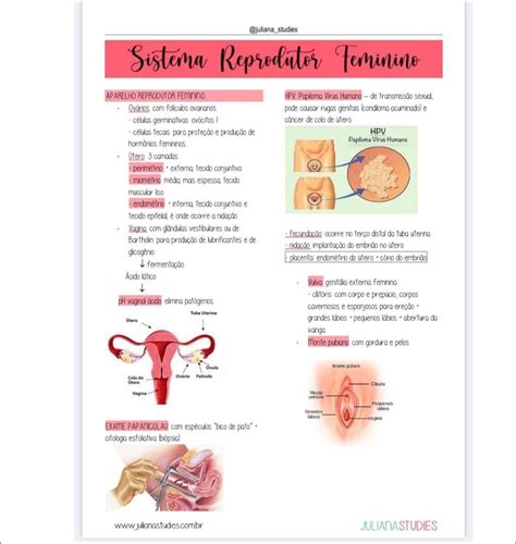 Mapas Mentais Sobre Sistema Reprodutor Feminino Study Maps