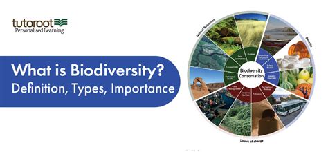 What Is Biodiversity Definition Types Importance