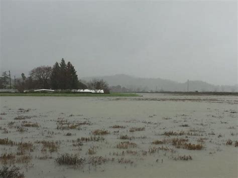 Santa Venetia Flood Control Zone 7 | Gallinas Watershed Council