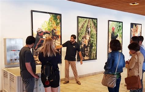 Como é o tour e degustação na vinícola Clos Apalta Valle Colchagua