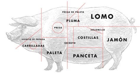 Partes del cerdo ibérico secreto ibérico pluma ibérica etc Navidul