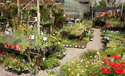 Garden Center In Basalt Co Mountain Greenery