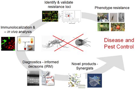 Molecular Entomology Pesticide Science Lab Vontas Group