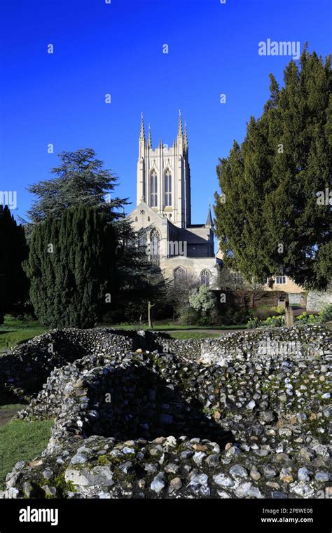 The Ruins Of Bury St Edmunds Abbey Abbey Gardens Bury St Edmunds City Suffolk England Stock