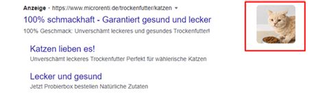 Anzeigenerweiterungen In Google Ads Sinnvoll Einsetzen