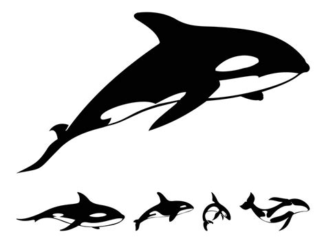 Whale Outline Drawing | Free download on ClipArtMag