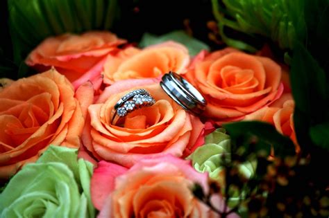 Michelbook Wedding Bands Wedding Bands Wedding Style Me